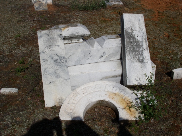 Sarah Ann (Strickland) Williams (1821-1890)